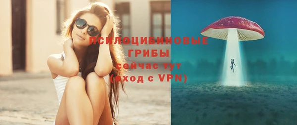 индика Армянск