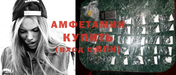 индика Армянск