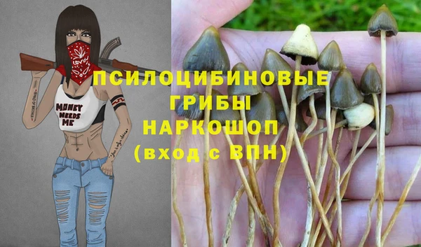 индика Армянск