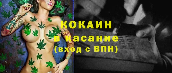 индика Армянск